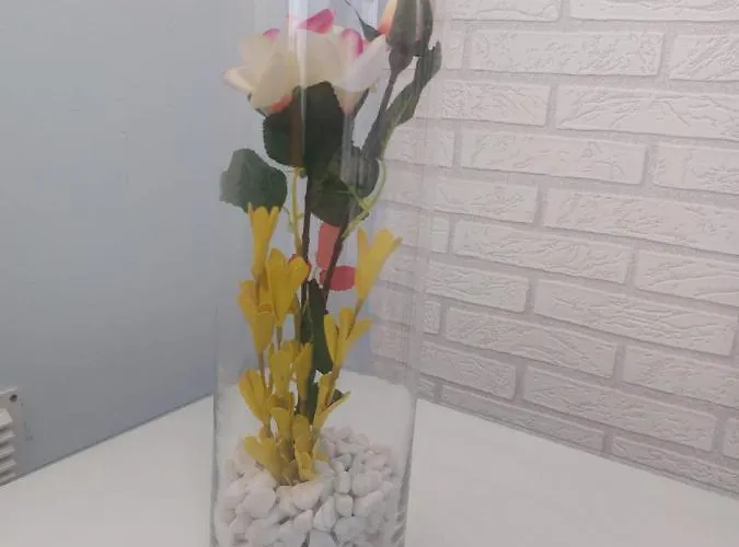 La Palma Apartamento Tarajalejo